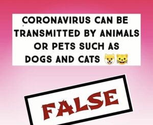 coronavirus pet myths