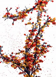 painting-flower-1-free-img.jpg