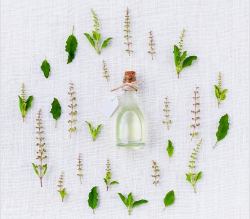 Medicinal use of Tulsi Leaves
