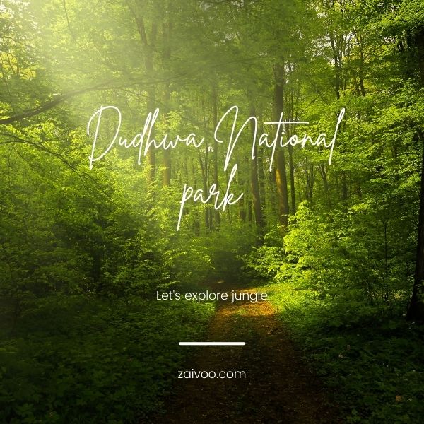Dudhwa National park