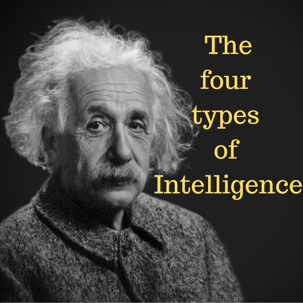 The four types of Intelligence
