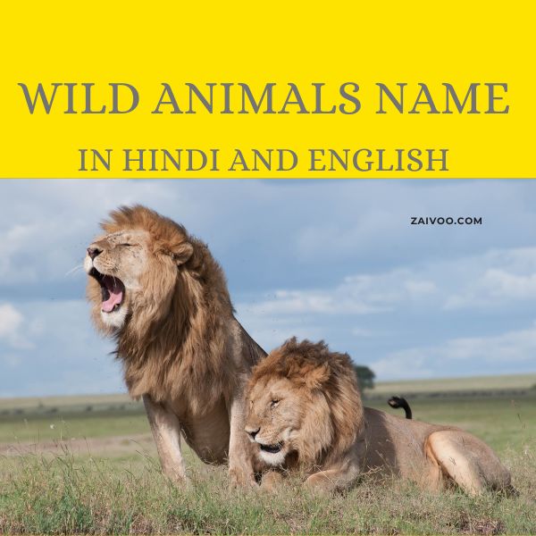 Wild Animals Name in Hindi