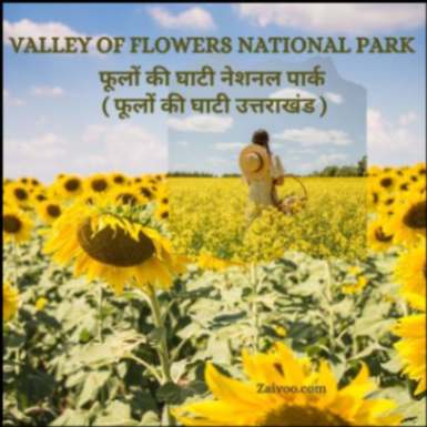 Valley of Flowers National Park